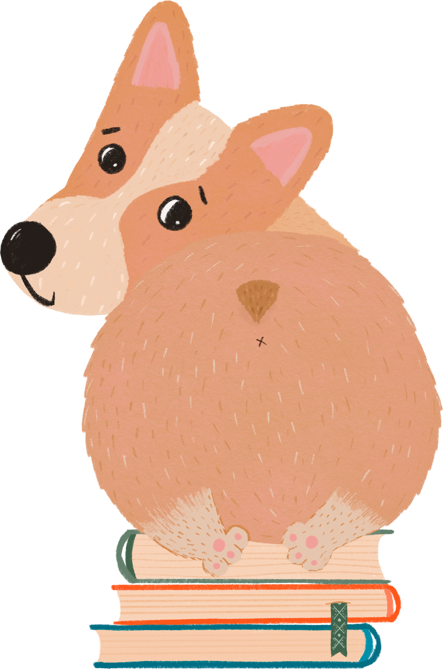 Camiseta “Cute Butt Corgi” – Edición lectores perrunos 🐶📚